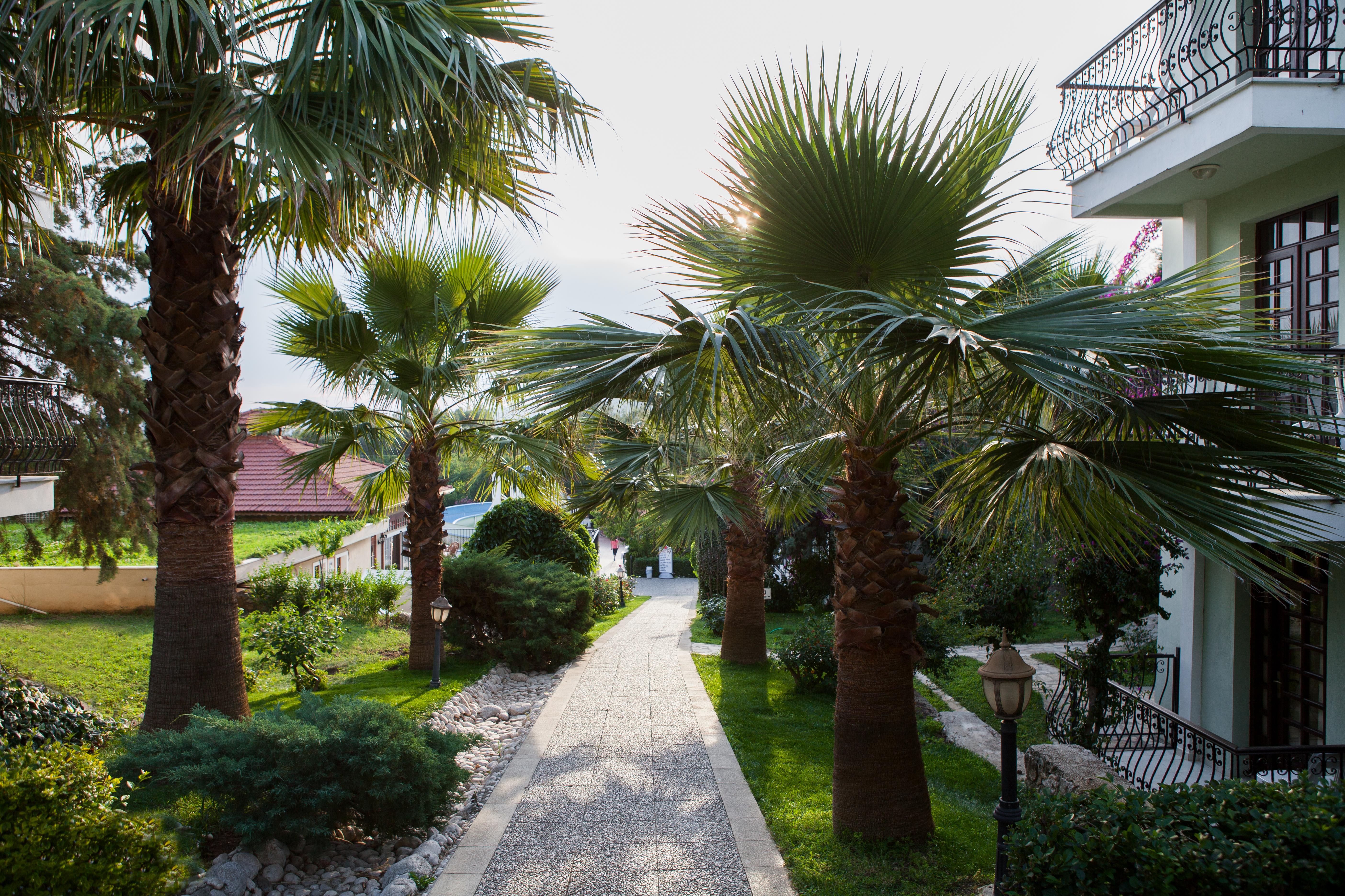 Hotel Greenland Oludeniz Exterior foto